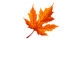 TheNatureTv logo